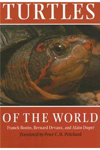 Turtles of the World