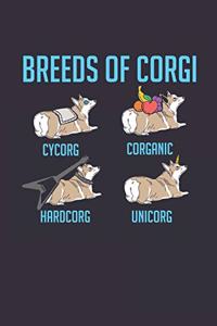 Breeds of Corgi
