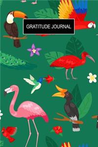 Gratitude Journal