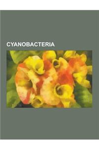 Cyanobacteria
