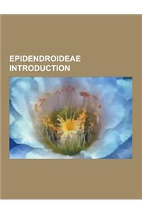 Epidendroideae Introduction