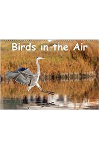 Birds in the Air 2017