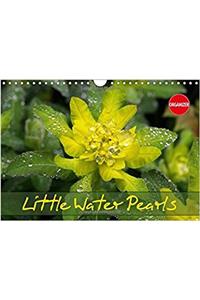 Little Water Pearls 2017