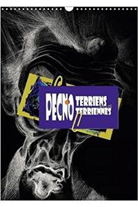 Pecnoterriens Plus Pecnoterriennes 2018