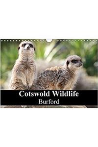 Cotswold Wildlife Burford 2018