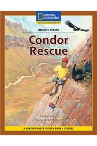 Content-Based Chapter Books Fiction (Science: Wildlife Rescue): Condor Rescue
