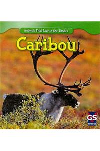 Caribou