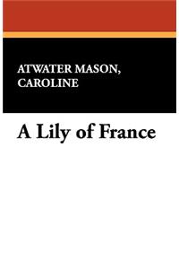 Lily of France