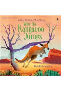 Why the Kangaroo Jumps