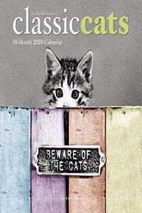 CLASSIC CATS 2020 MINI WALL CALENDAR