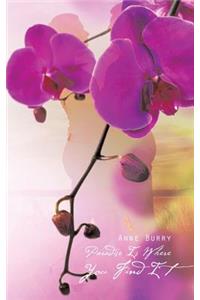 Paradise Is Where You Find It