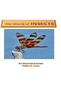 The World of Insects