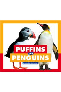 Puffins and Penguins