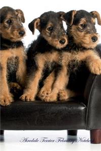 Airedale Terrier February Notebook Airedale Terrier Record, Log, Diary, Special Memories, To Do List, Academic Notepad, Scrapbook & More