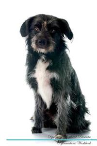 Pyrenean Shepherd Affirmations Workbook Pyrenean Shepherd Presents: Positive and Loving Affirmations Workbook. Includes: Mentoring Questions, Guidance, Supporting You.