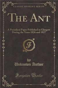 The Ant