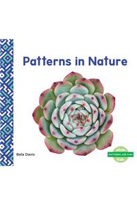 Patterns in Nature