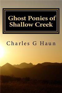 Ghost Ponies of Shallow Creek