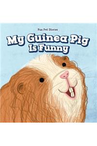 My Guinea Pig Is Funny