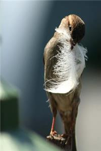 Journal Bird Holding Feather