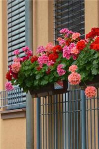 Balcony Geranium Planter in Spring Journal