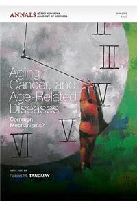 Aging, Cancer and Age-Related Disease