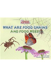 What Are Food Chains and Food Webs?