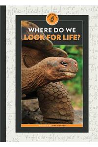 Where Do We Look for Life?