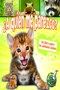 A Quién Me Parezco?