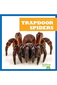 Trapdoor Spiders