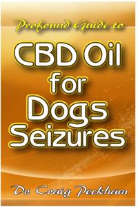 Profound Guide To CBD Oil for Dog Seizures