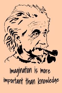 Imagination is more important than knowledge