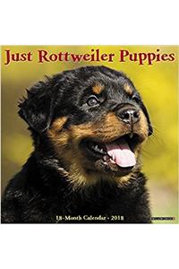 Just Rottweiler Puppies 2018 Calendar