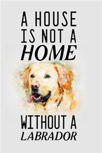 A house is not a home without a labrador
