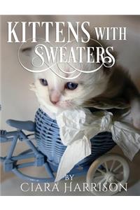 Kittens with Sweaters