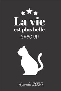 La vie est plus belle avec un chat