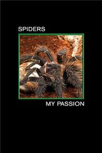 Spiders my Passion