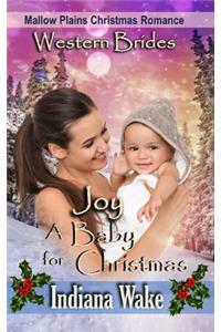 Joy - A Baby for Christmas