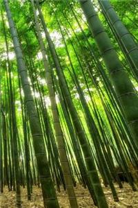 Bamboo Notebook