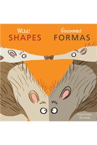 Shapes/Formas