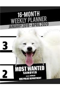 2019-2020 Weekly Planner - Most Wanted Samoyed