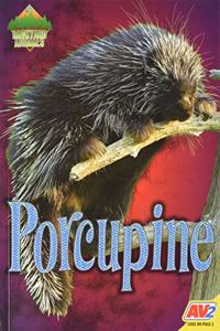 Porcupine