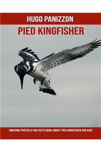 Pied Kingfisher: Amazing Photos & Fun Facts Book about Pied Kingfisher for Kids