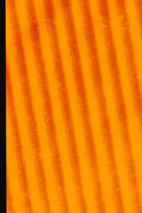 Sheet Music Manuscript Composition Paper Notebook