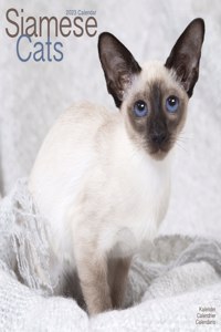 Cats - Siamese 2023 Wall Calendar