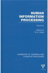 Human Information Processing