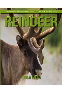 Reindeer