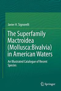 Superfamily Mactroidea (Mollusca: Bivalvia) in American Waters