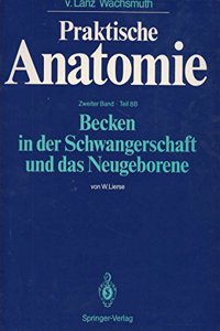 Becken in Der Schwangerschaft Und Das Neugeborene