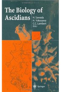 Biology of Ascidians